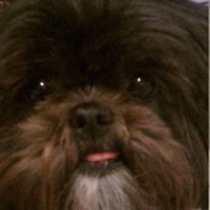 Meet your Posher, Wendy